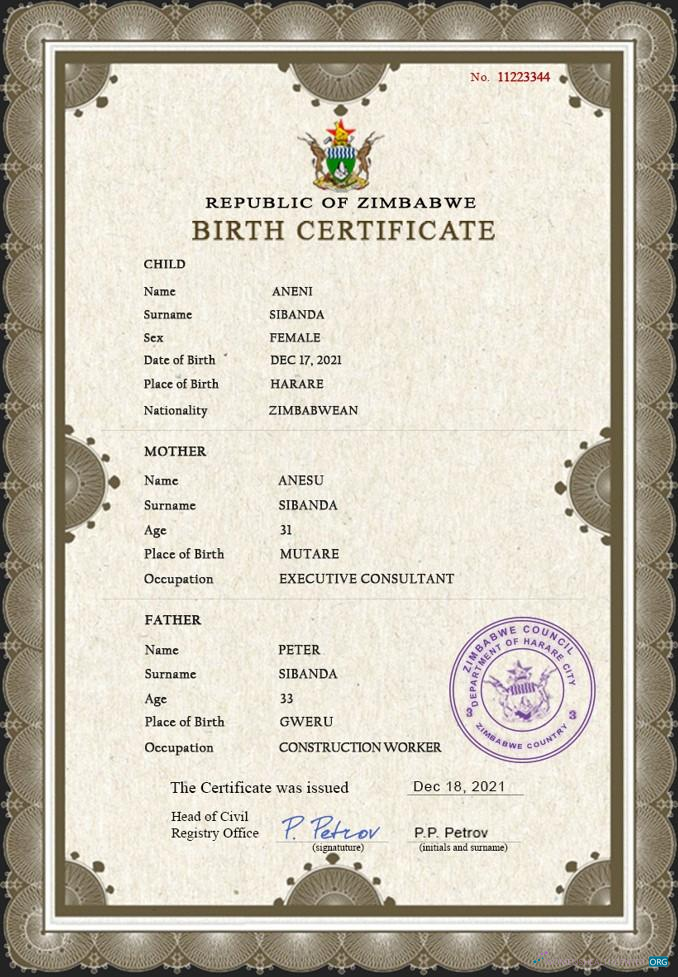 Download Zimbabwe vital record birth certificate PSD template Photoshop template